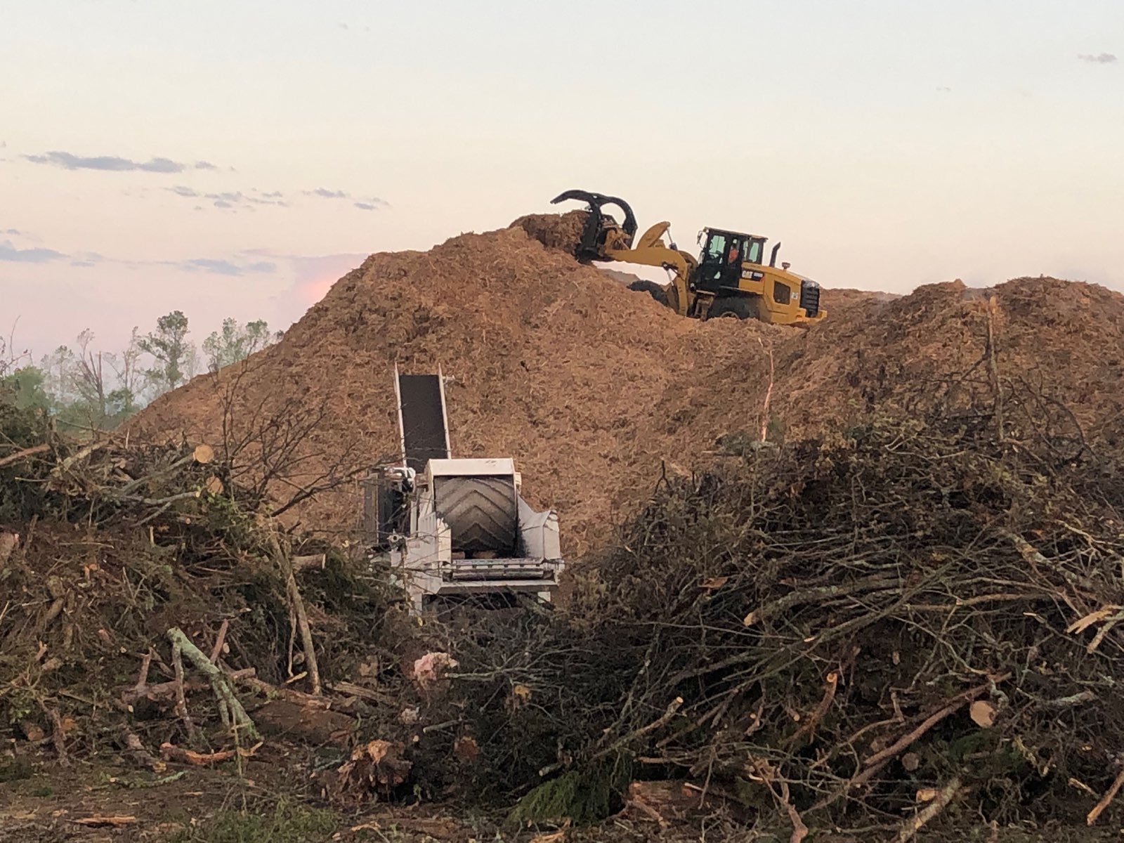 Hurricane Cleanup