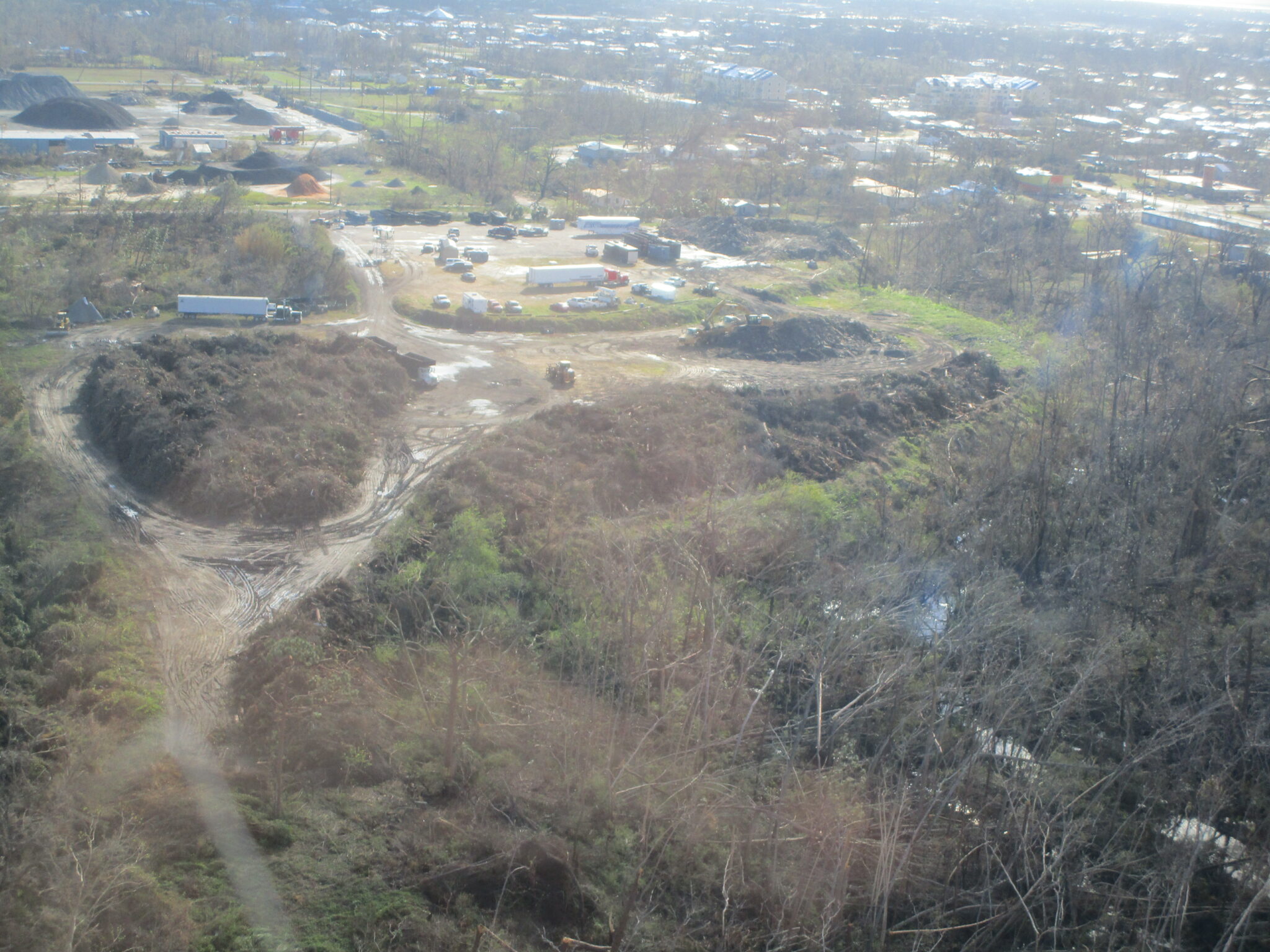 Overview of the piles of brush awaiting to be ground.